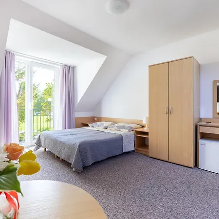 Dg Albatros Ii レバル