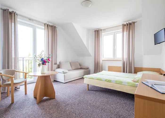 Dg Albatros Ii レバル