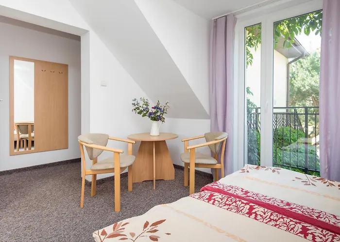 Dg Albatros Ii ホームステイ