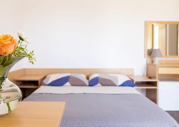 Проживание в семье Dg Albatros Ii Реваль