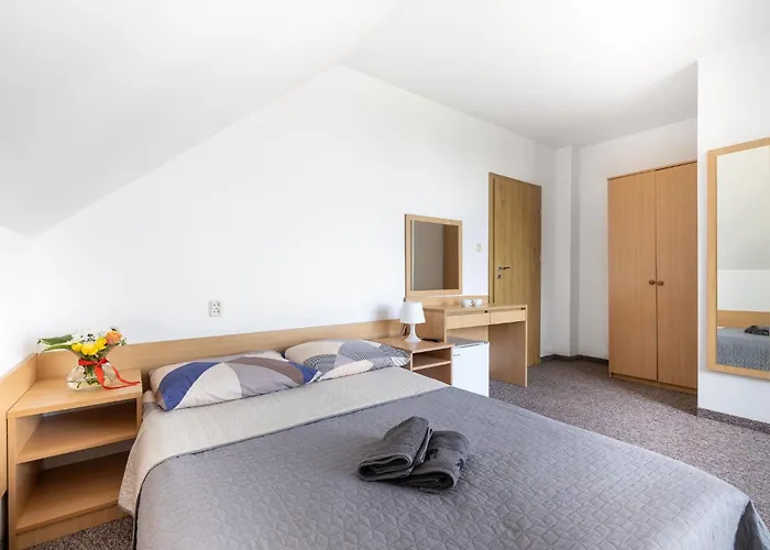 Проживание в семье Dg Albatros Ii Реваль