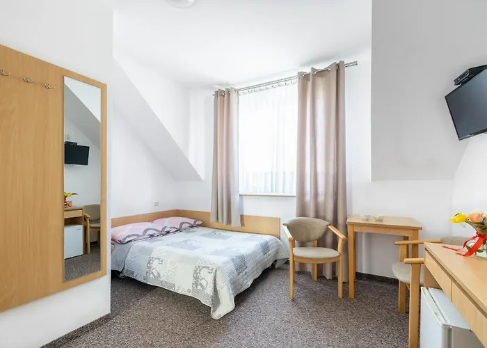 Dg Albatros Ii * レバル