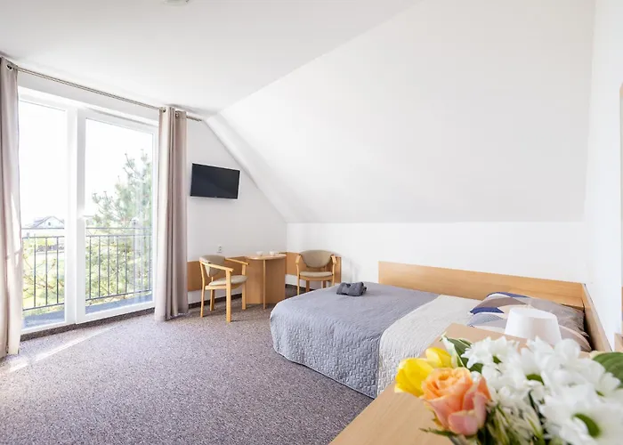 ホームステイ Dg Albatros Ii *