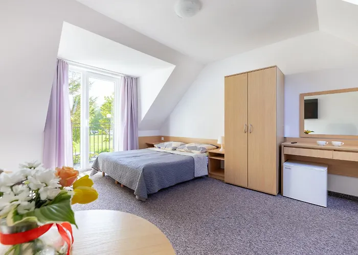 Dg Albatros Ii レバル