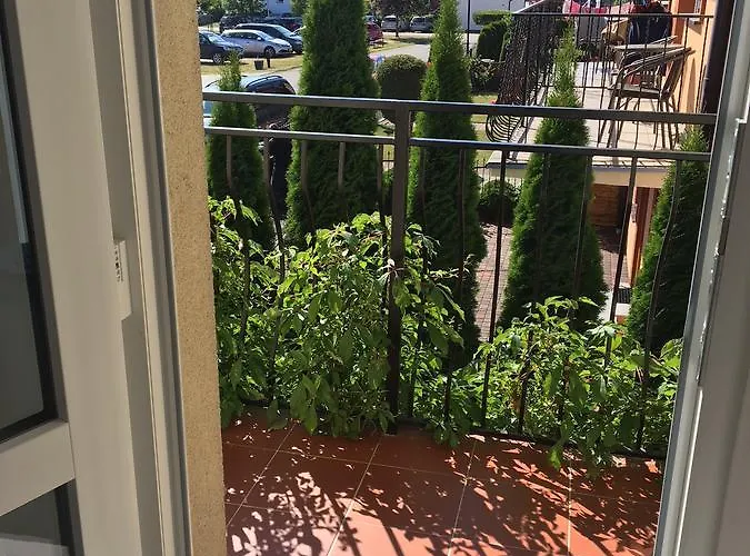 Dg Albatros Ii * レバル