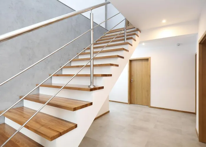 Dg Albatros Ii ホームステイ