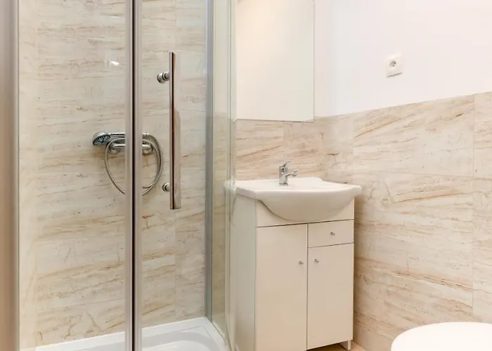 Dg Albatros Ii レバル