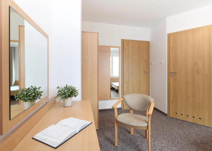 Dg Albatros Ii レバル