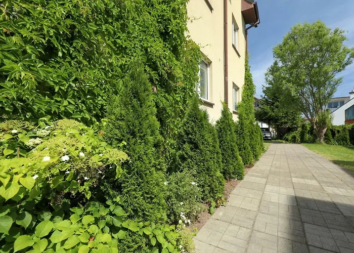 ホームステイ Dg Albatros Ii